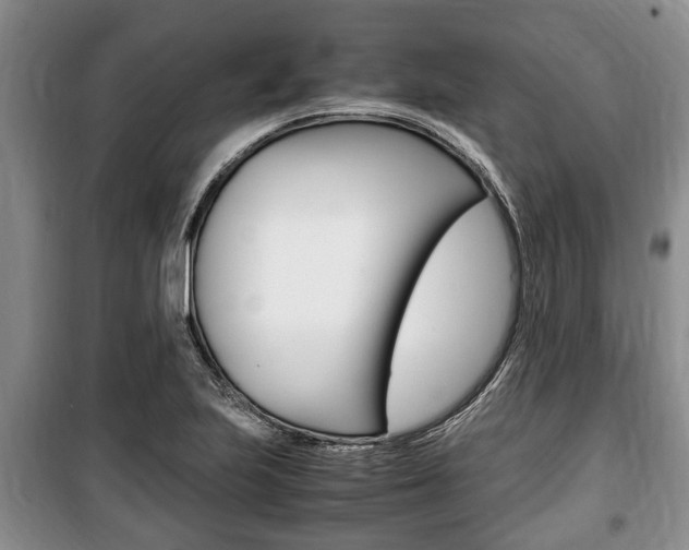 X0000100351223200806060752