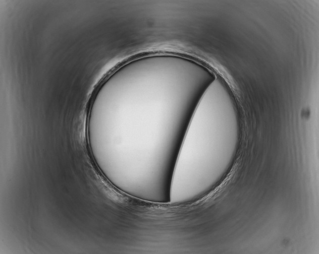 X0000100351224200806060752