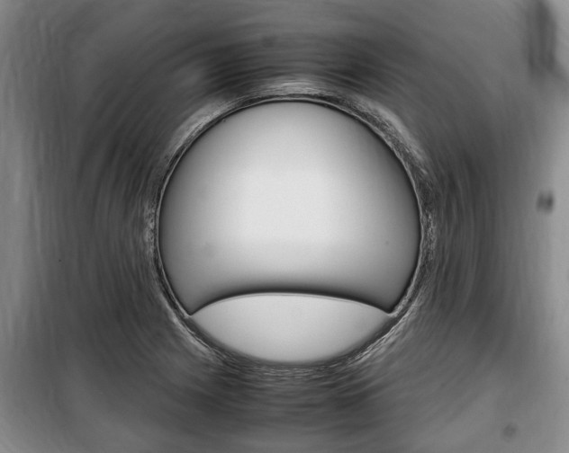 X0000100351225200806060752
