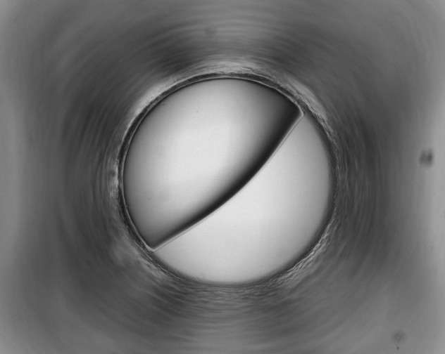 X0000100351226200806060752