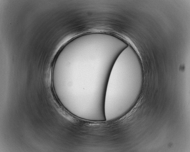 X0000100351227200806060752