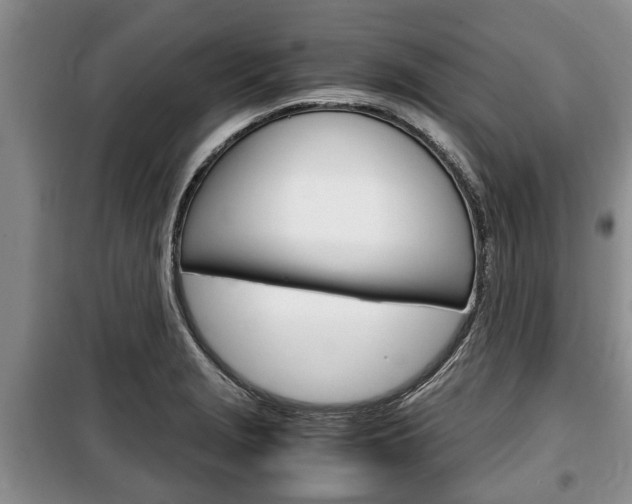 X0000100351229200806060752
