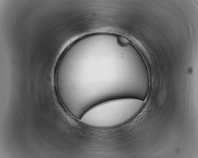 X0000100351230200806060752