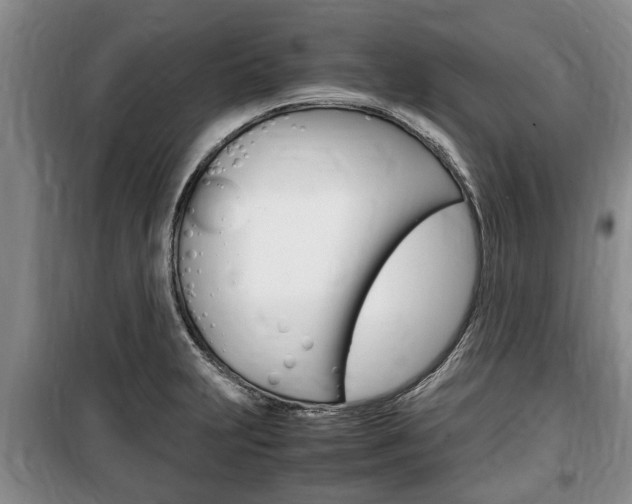 X0000100351231200806060752