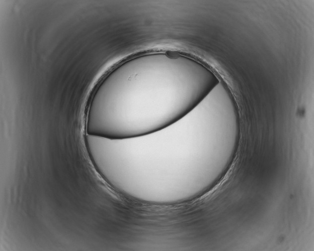 X0000100351232200806060752