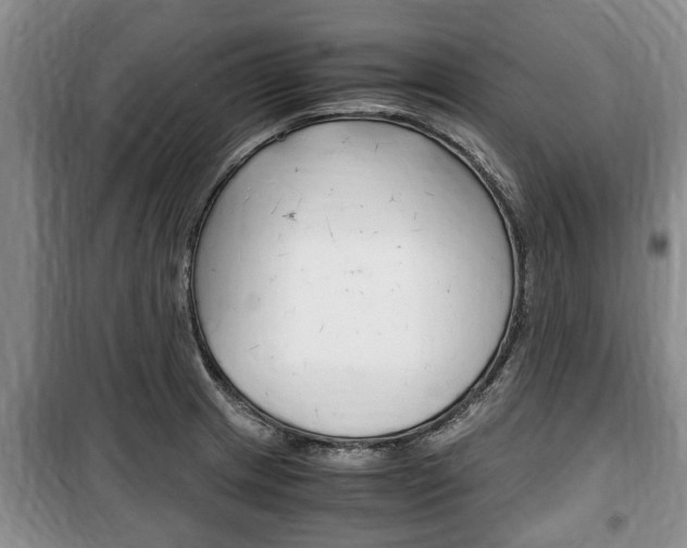 X0000100351233200806060752