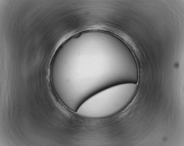 X0000100351234200806060753