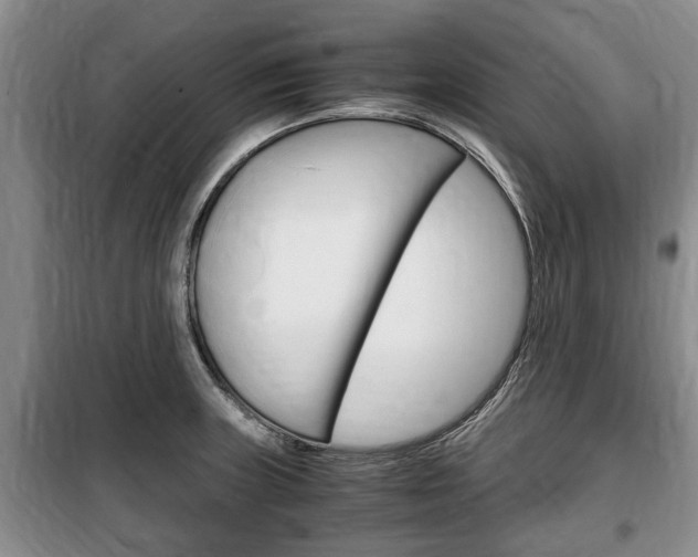 X0000100351235200806060753
