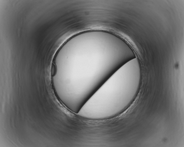 X0000100351236200806060753