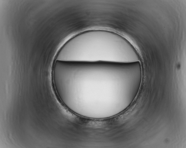X0000100351237200806060753