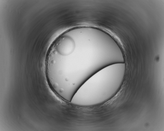 X0000100351239200806060753