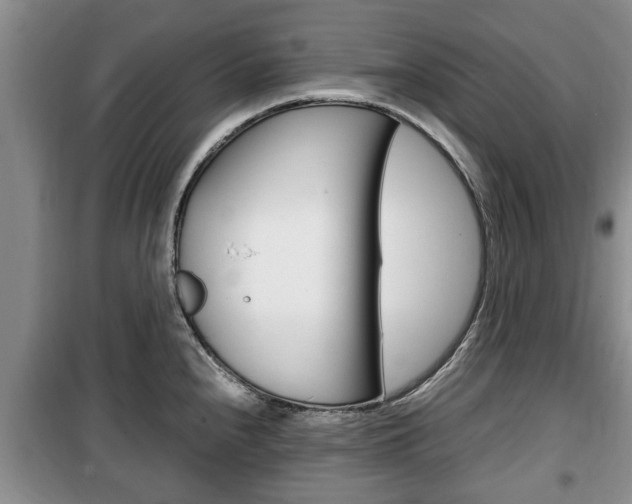 X0000100351240200806060753