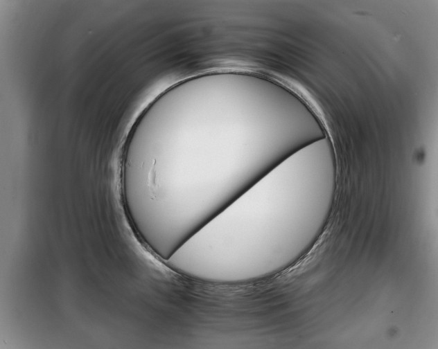 X0000100351243200806060753