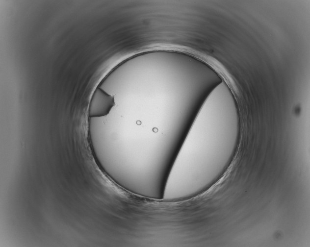 X0000100351244200806060753