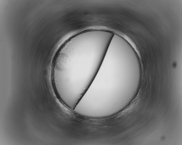 X0000100351245200806060753