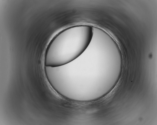 X0000100351246200806060753