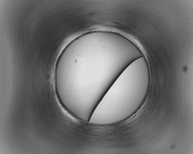 X0000100351247200806060753
