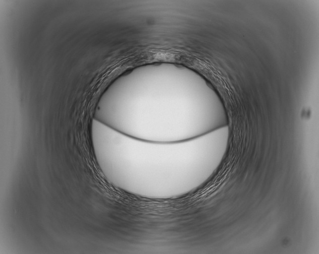 X0000100351249200806060752