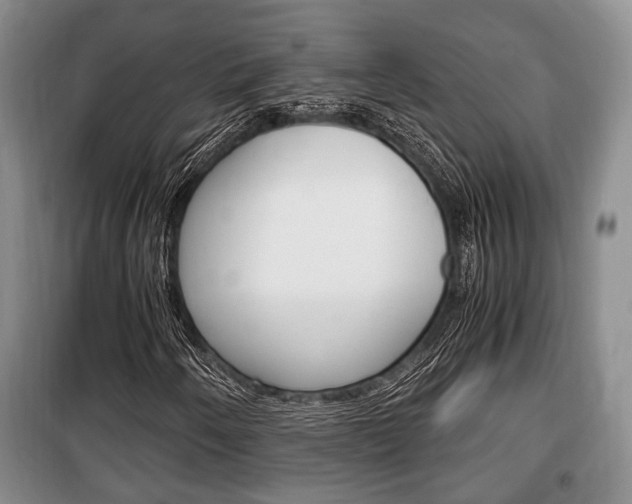X0000100351250200806060752