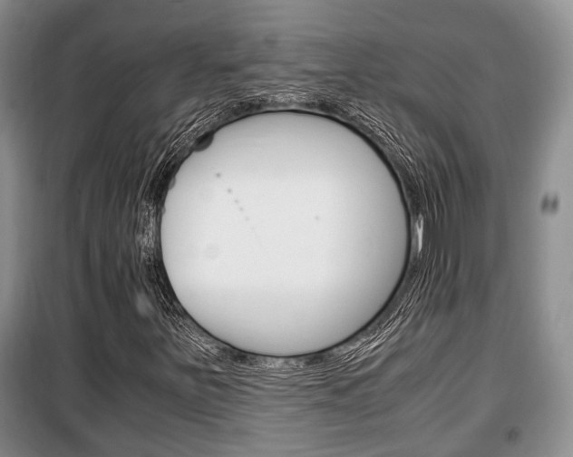 X0000100351251200806060752