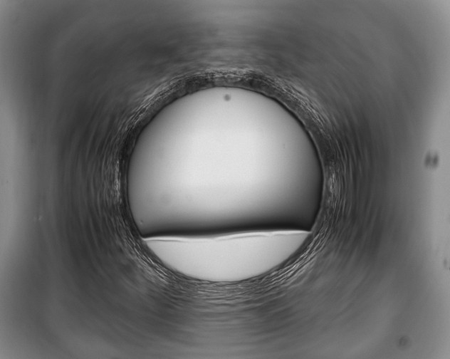 X0000100351252200806060752