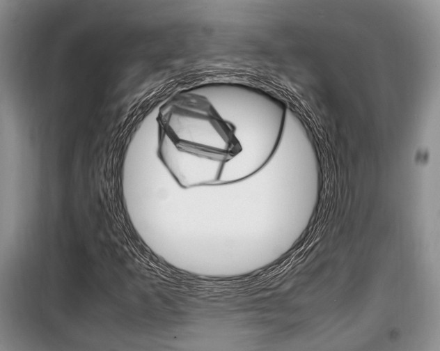 X0000100351253200806060752
