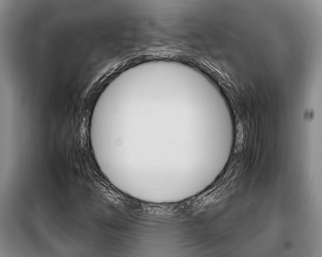 X0000100351254200806060752