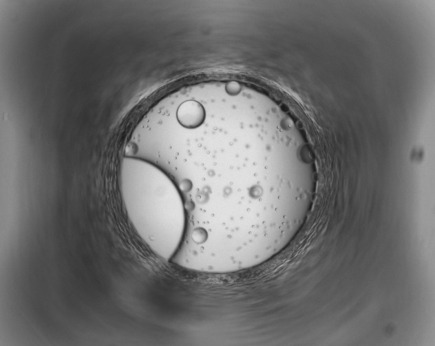 X0000100351255200806060752
