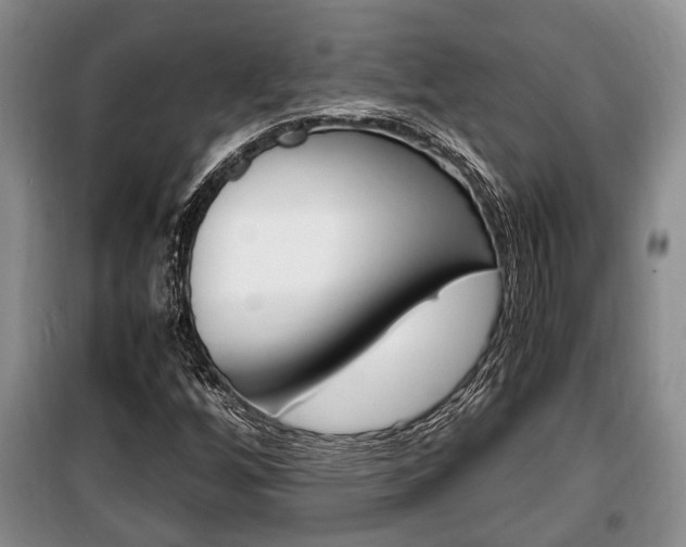 X0000100351256200806060752