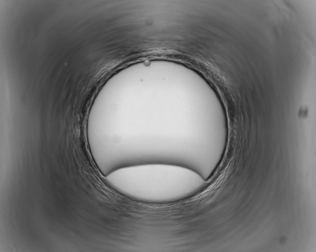 X0000100351257200806060752