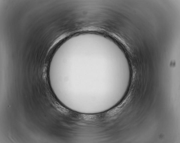 X0000100351258200806060752