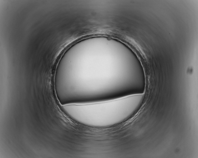 X0000100351260200806060752