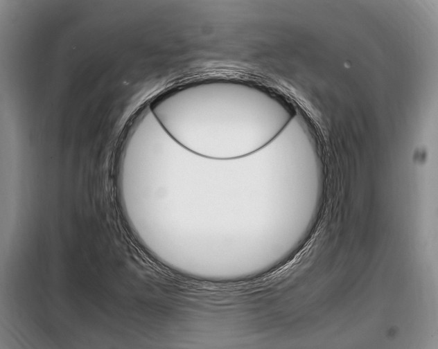 X0000100351261200806060752