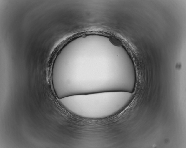 X0000100351262200806060752