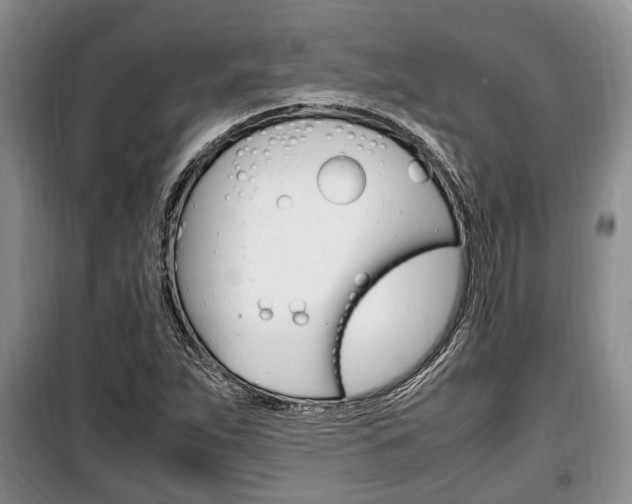 X0000100351263200806060752