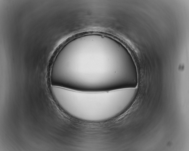 X0000100351264200806060752
