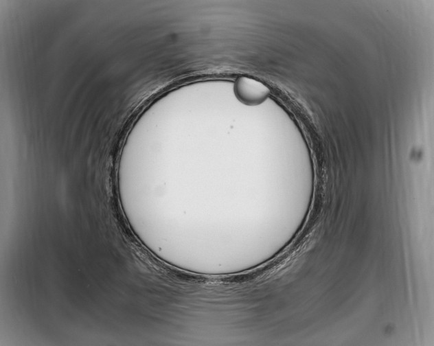 X0000100351265200806060752