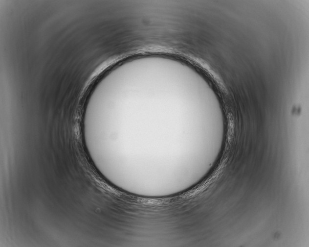 X0000100351266200806060752