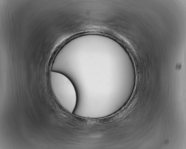 X0000100351267200806060752