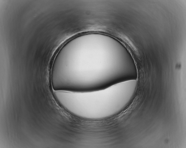 X0000100351268200806060752