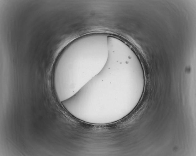 X0000100351269200806060752