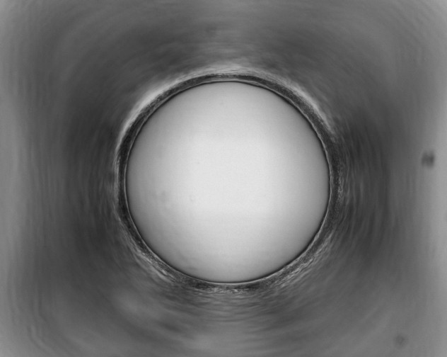 X0000100351270200806060752