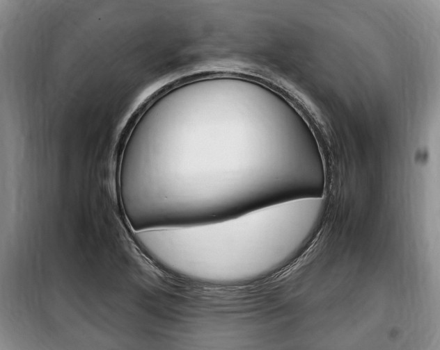 X0000100351272200806060752