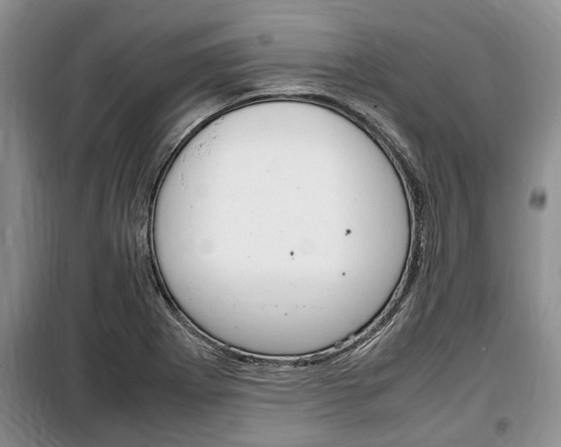 X0000100351273200806060752