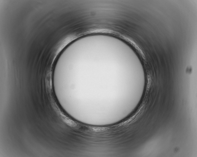 X0000100351274200806060752