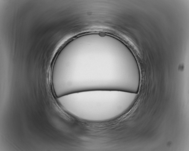 X0000100351275200806060752