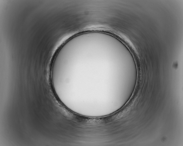 X0000100351277200806060752