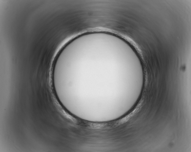 X0000100351278200806060752