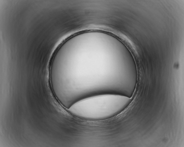 X0000100351280200806060752