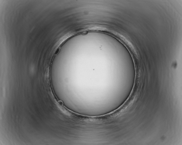 X0000100351281200806060752